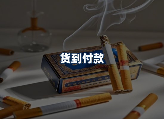 专业团队办公环境